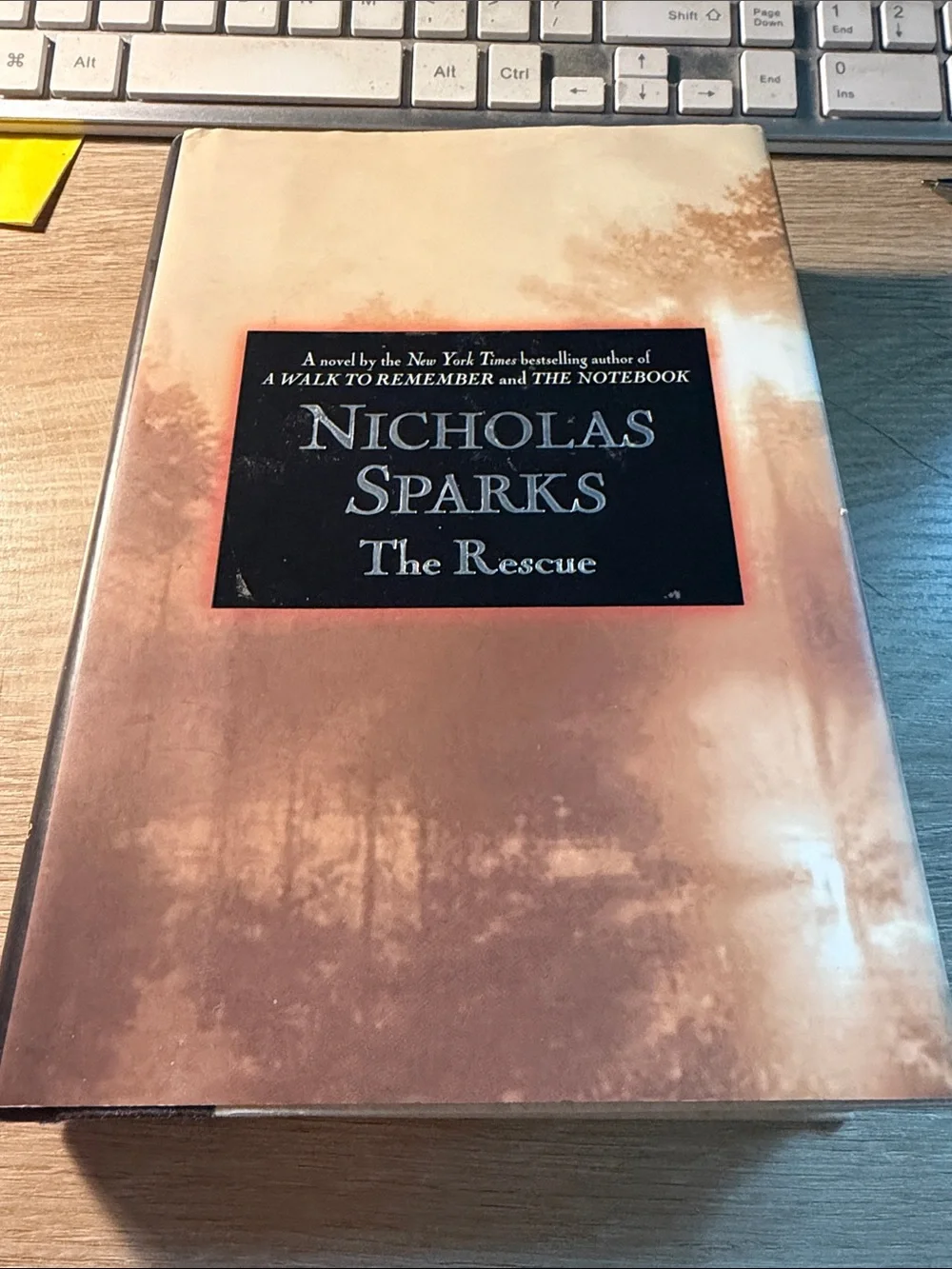 The Rescue - Beige Hardcover